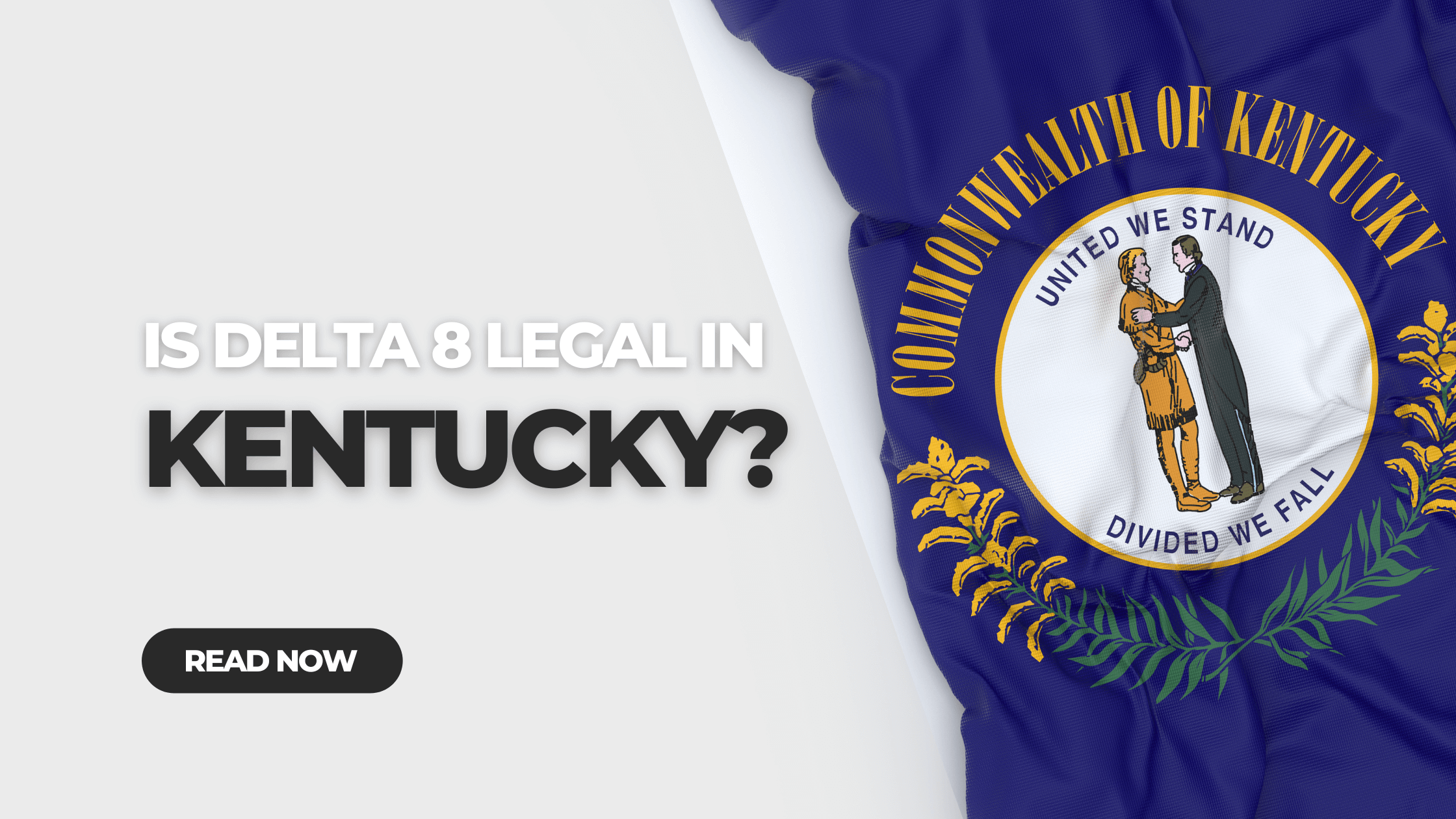 Vape Ban 2025 THCA Vape Carts In Kentucky | Best THCA Carts Australia Are Vapes Illegal In Kentucky Vape Ban 2025 THCA Vape Carts In Kentucky | Best THCA Carts Australia Are Vapes Illegal In Kentucky