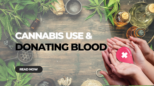 can you donate blood if you smoke weed or vape Did you know: You CAN donate blood if you use cannabis. If you have any  questions about blood donation, please ask us! #DidYouKnowAboutBloodDonation main image 1