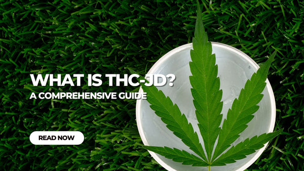 What is THC-JD? A Comprehensive Guide