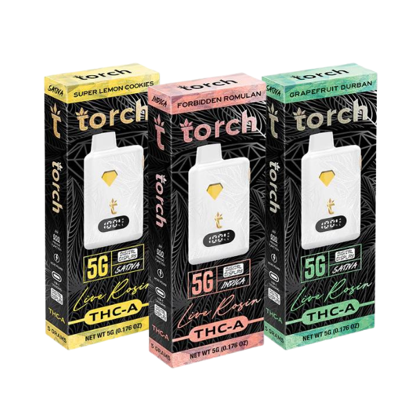 Torch net best sale