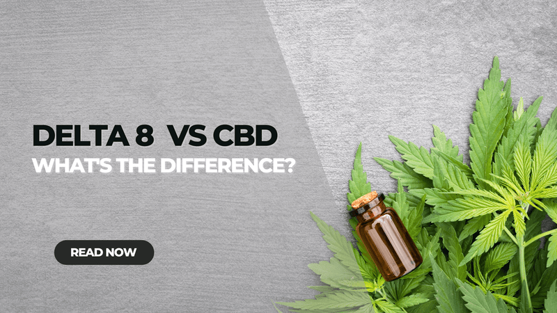Delta 8 vs CBD: What's the Difference