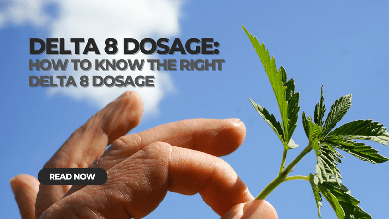 Delta 8 Dosage: How to Know the Right Delta 8 Dosage
