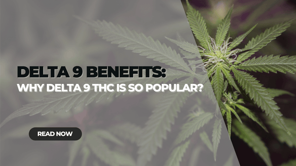 Delta 9 Benefits: Why Delta 9 THC is so Popular