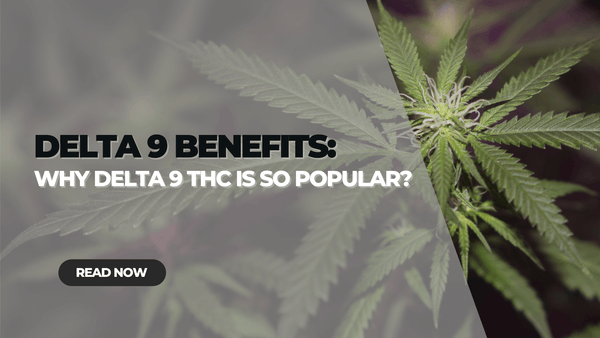 Delta 9 Benefits: Why Delta 9 THC is so Popular