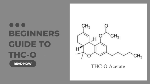 What is THC-O?