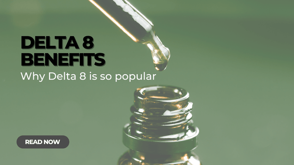 Delta 8 Benefits: Why Delta 8 THC is so Popular