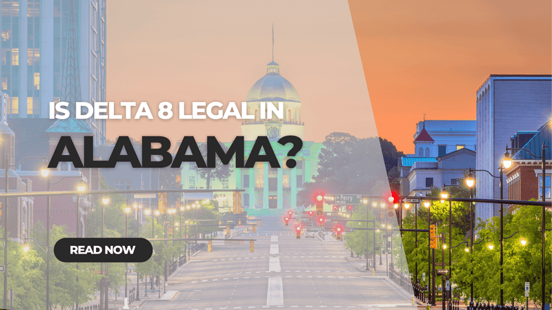 Is Delta 8 Legal in Alabama?
