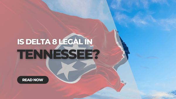 Is Delta 8 Legal in Tennessee?