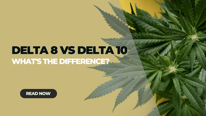 Delta 8 vs Delta 10: What's the Difference