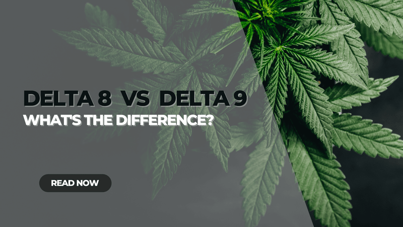 Delta 8 vs Delta 9: What's the Difference?