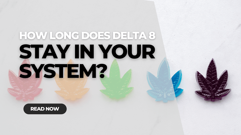 How Long Do Delta 8 Gummies Stay in Your System?