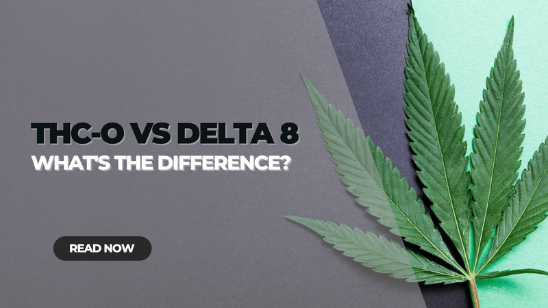 THC-O vs Delta 8: What's the Difference