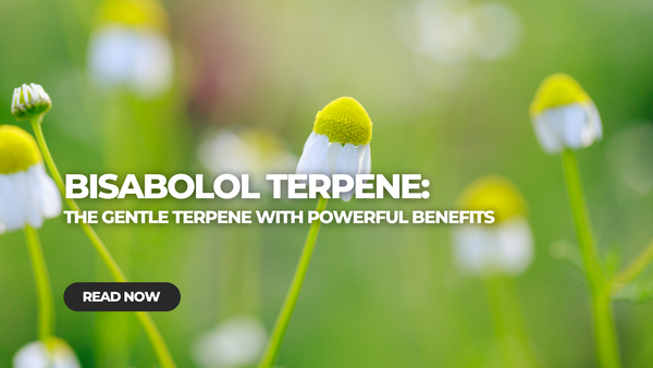 Bisabolol Terpene