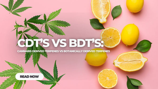 Cannabis Derived Terpenes vs Botanical Terpenes