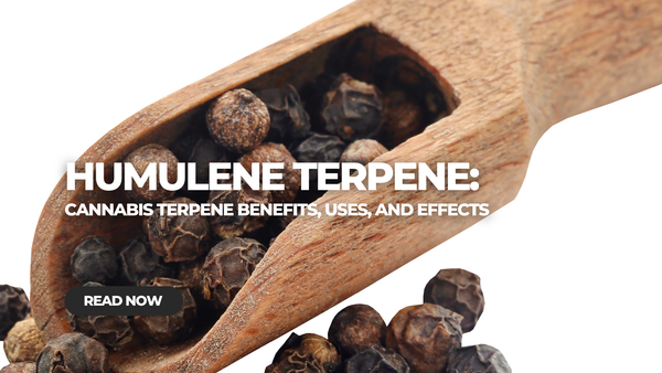 Humulene Terpene