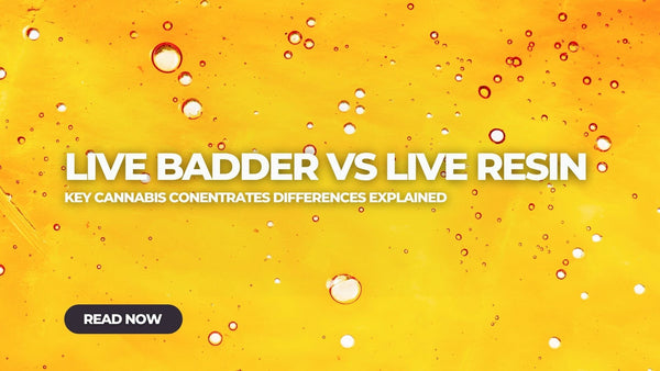 Live Badder vs Live Resin