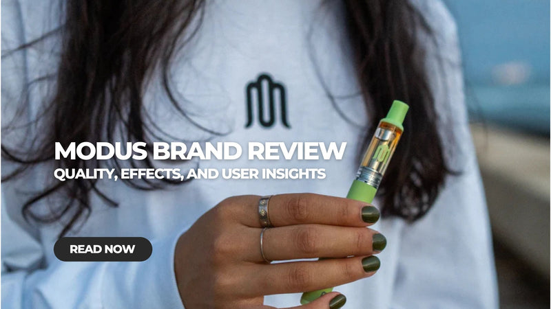 Modus THC Review: Quality, Effects, and User Insights Modus THC Review: Quality, Effects, and User Insights