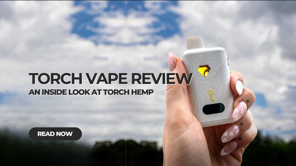 Torch Vape Review: An Inside Look at Torch Hemp Torch Vape Review: An Inside Look at Torch Hemp
