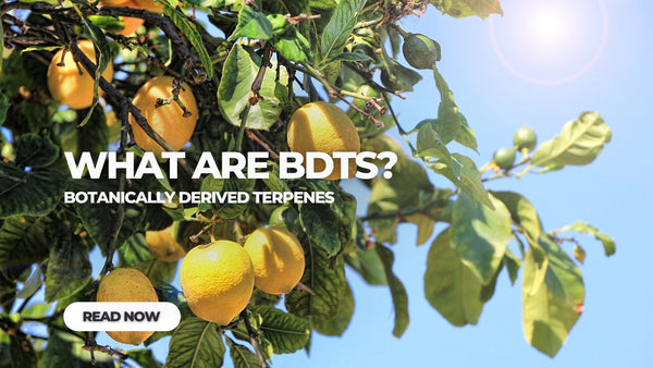 What Are Botanically Derived Terpenes?