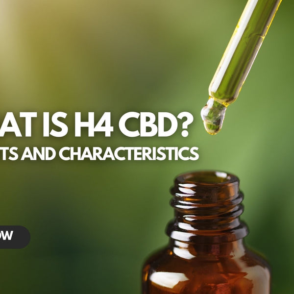 What is H4 CBD? Understanding This CBD Alternative