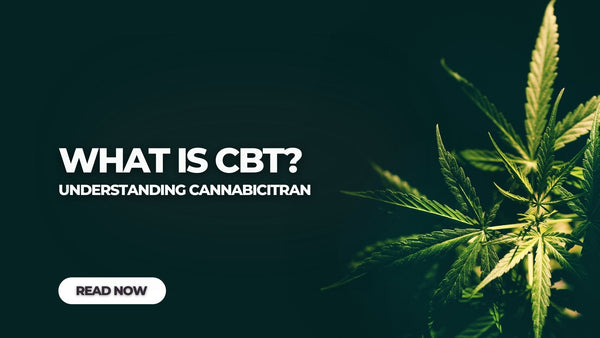 What is CBT?