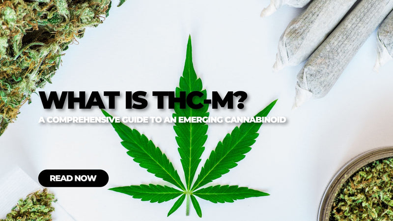 What is THC-M