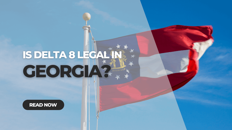Is Delta 8 THC legal in Georgia?