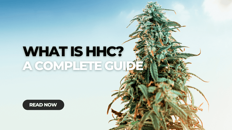 What is HHC? A Complete Guide