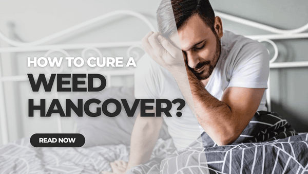 How to Cure a Weed Hangover