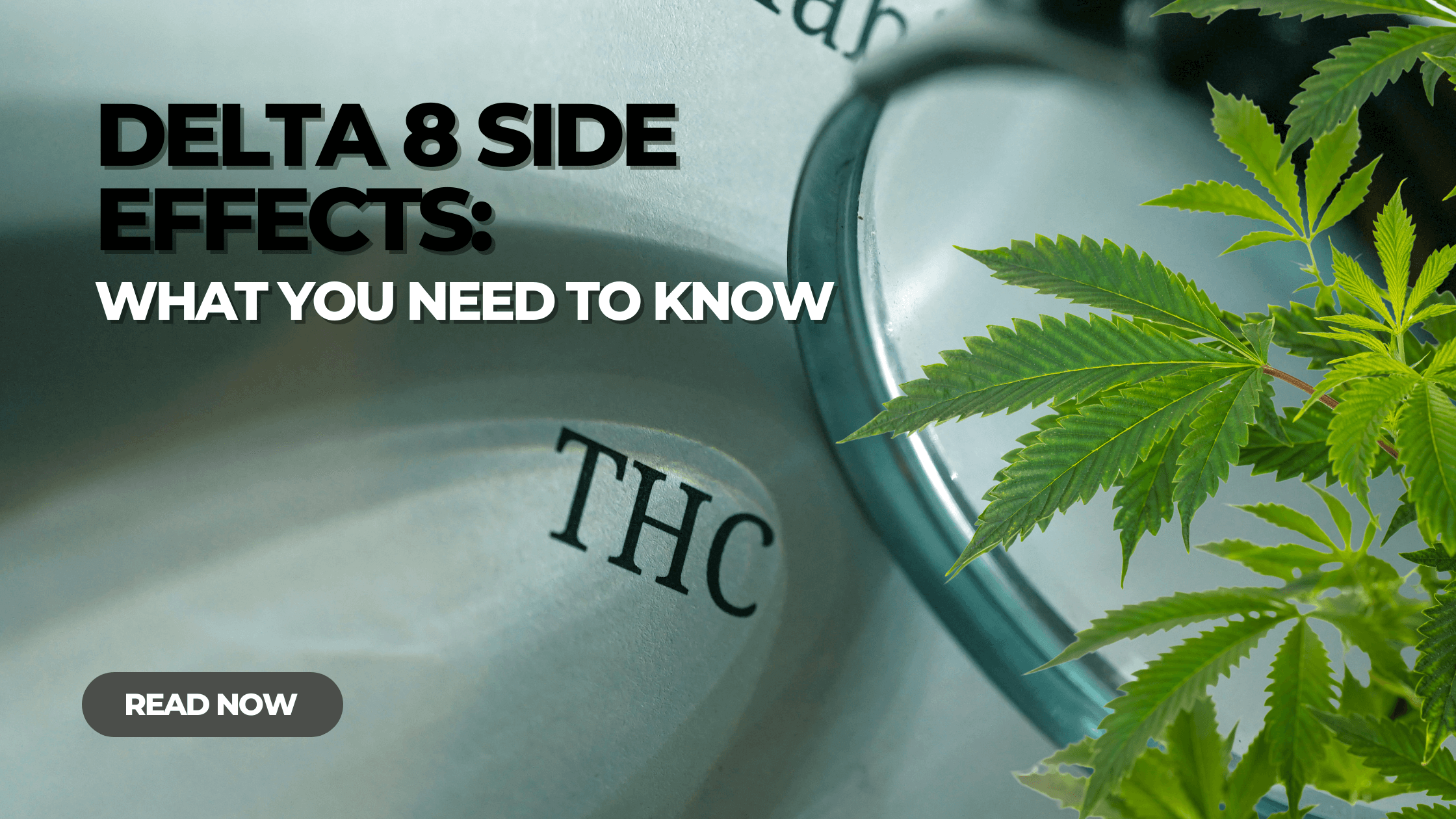 Potential Delta 8 Side Effects What You Need to Know