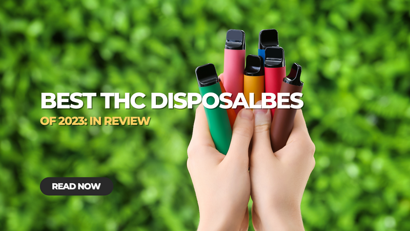 Best THC Disposable Vapes of 2023