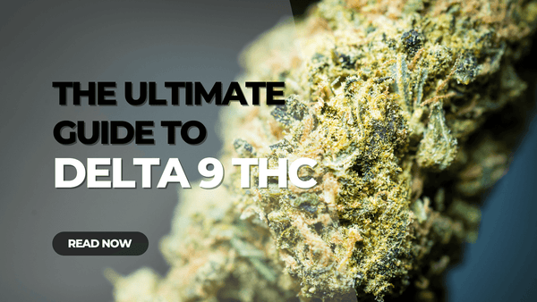 What is hemp Delta 9 THC? 