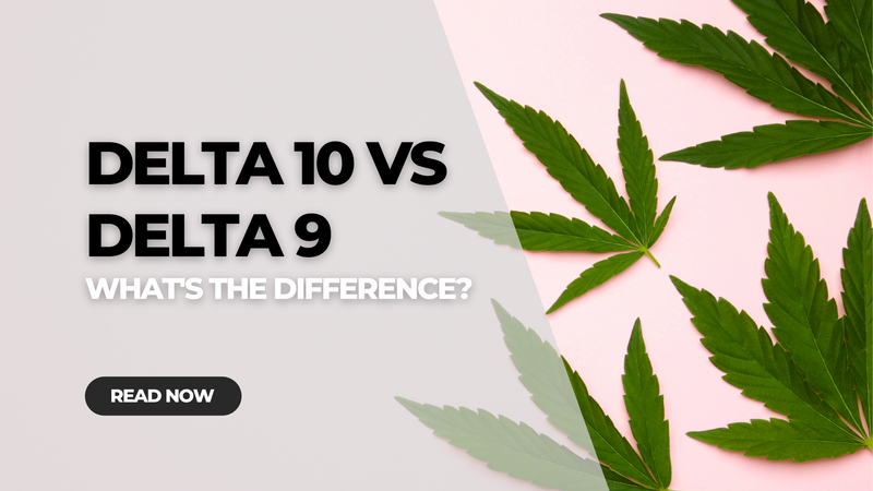 Delta 10 vs Delta 9: What's the Difference?