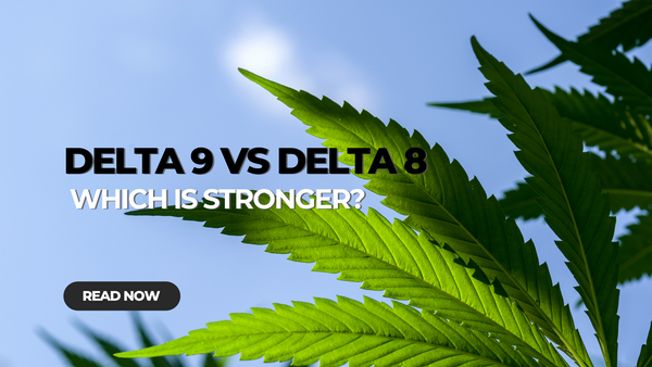 Is Delta 9 Stronger than Delta 8 THC?