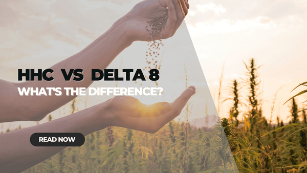 Delta 8 vs HHC