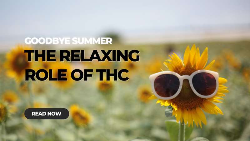 The Relaxing Role of THC