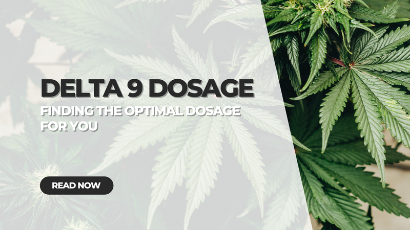 Delta 9 Dosage: Finding the Correct Dose for You