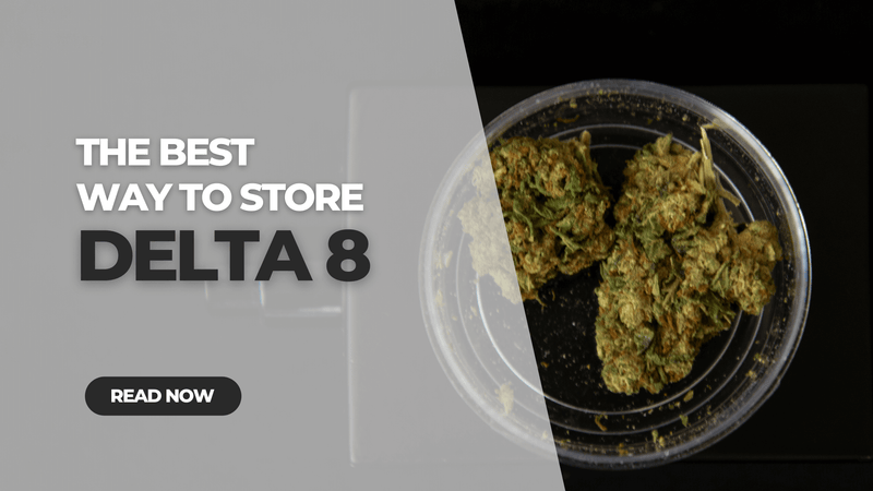 Best Ways to Store Delta 8