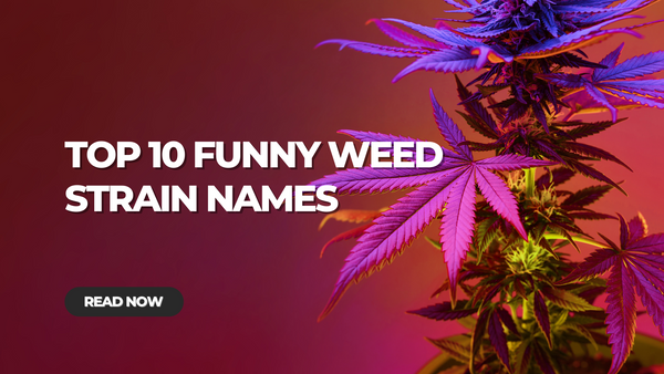 Funny Weed Strain Names