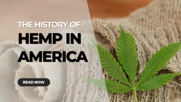 The history of hemp in America