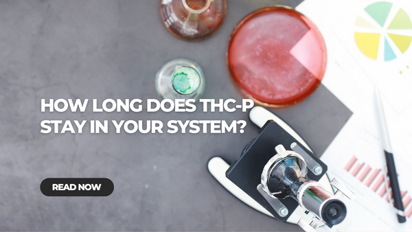 How Long Does THC-P Stay in Your System?
