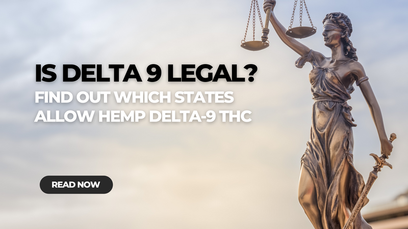 Is Delta 9 Legal? Which States Allow Delta 9 THC