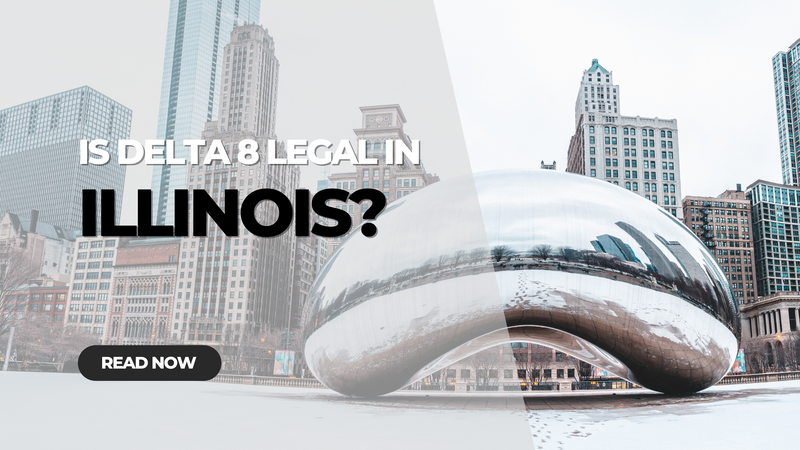Is Delta 8 Legal in Illinois?