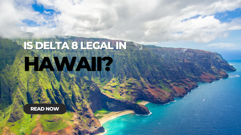 Is Delta 8 Legal in Hawaii?