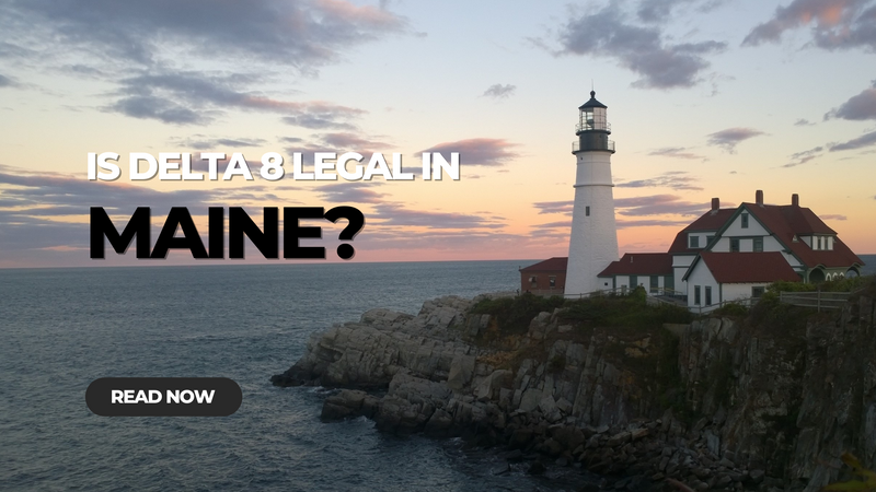 Is Delta 8 Legal in Maine?
