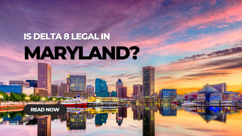 Is Delta 8 Legal in Maryland?