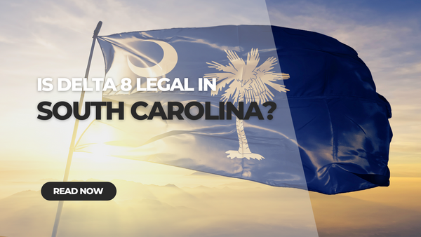 Is Delta 8 Legal in South Carolina?