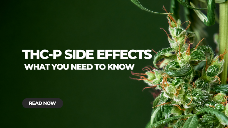 Potential THC-P Side Effects: What You Need to Know