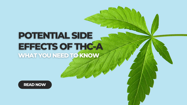 Potential THCA Side Effects: What You Need to Know