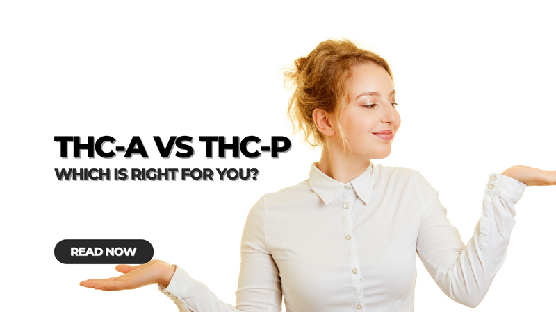 THC-A vs THC-P: Which is Right for You?